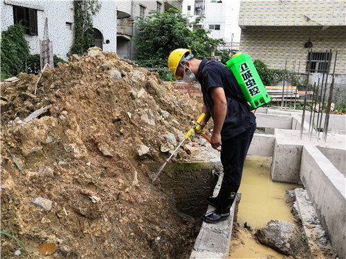 南沙灭杀白蚁公司哪家最正规专业