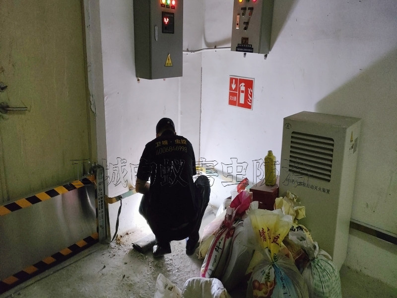 樟木头白蚁防治,樟木头杀白蚁公司