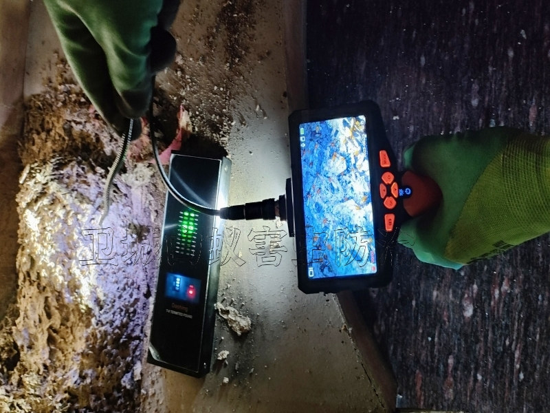 深圳市西乡白蚁防治中心,西乡灭白蚁公司