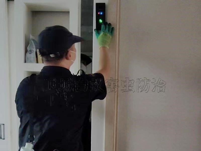 惠州白蚁防治公司，惠州惠城灭白蚁中心（卫城虫控）
