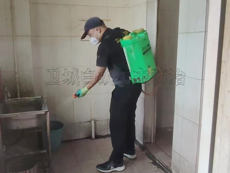 惠城龙丰灭臭虫中心,专业小金口杀虫公司,三栋灭臭虫跳蚤