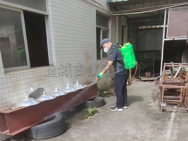 樟木头臭虫防治,清溪消杀跳蚤臭虫公司,东莞樟木头灭臭虫