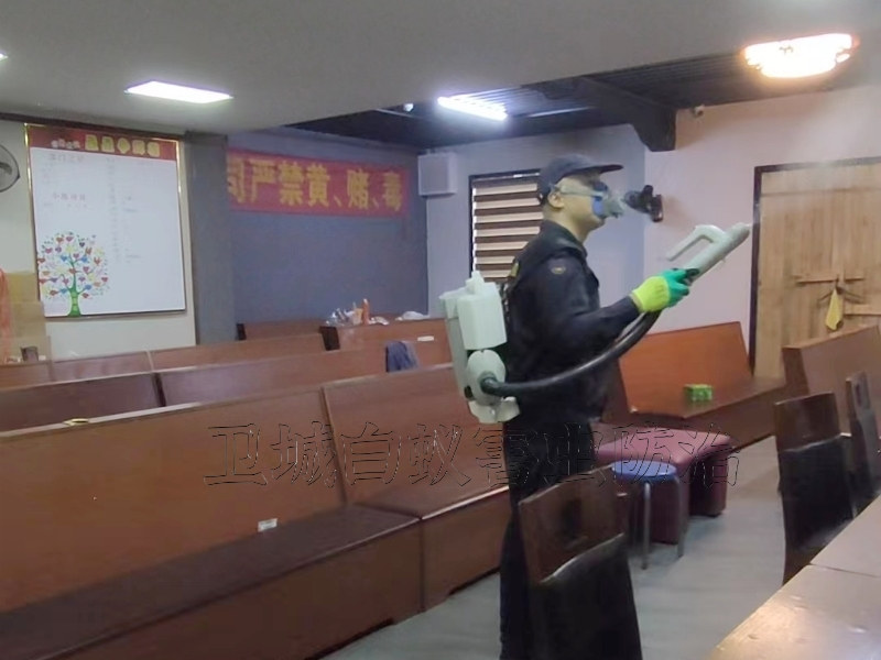 东莞清溪臭虫防治,樟木头灭跳蚤,车间灭跳蚤,仓库灭跳蚤,消杀跳蚤