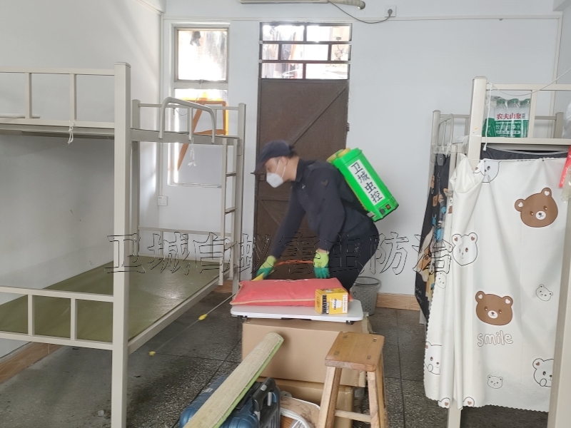 东莞常平臭虫防治中心,黄江杀虫公司,东莞除四害杀虫灭鼠服务,东莞除虫