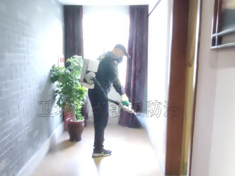 东莞长安臭虫防治中心,塘厦大岭山杀臭虫跳蚤,东莞樟木头灭跳蚤,凤岗除四害,灭蟑螂