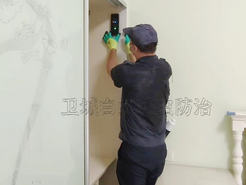 惠州惠城白蚁防治所,惠州灭白蚁杀白蚁中心