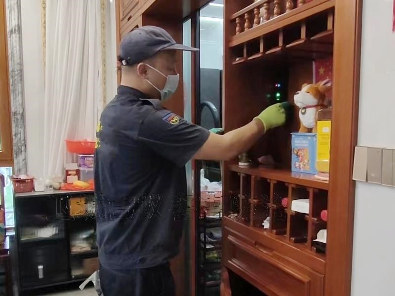 惠州白蚁防治所-惠州白蚁防治站-惠州白蚁防治中心