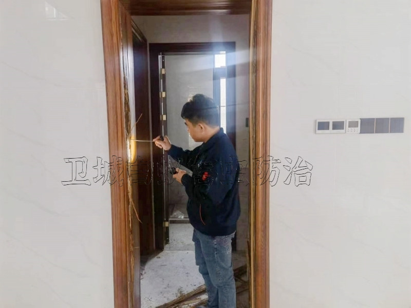 常平白蚁防治公司