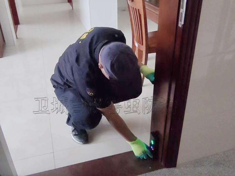 仲恺白蚁防治|惠州仲恺白蚁防治中心灭白蚁专注更专业