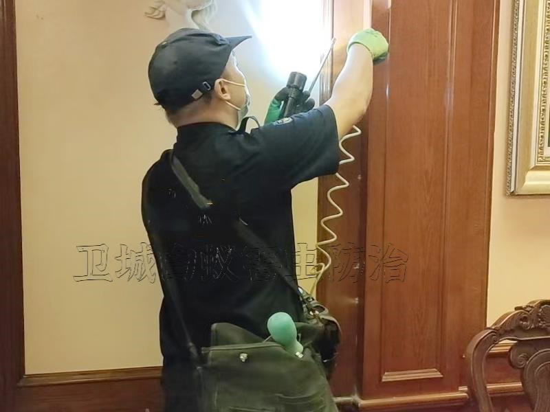 博罗县白蚁防治|惠州博罗灭白蚁|博罗杀白蚁中心
