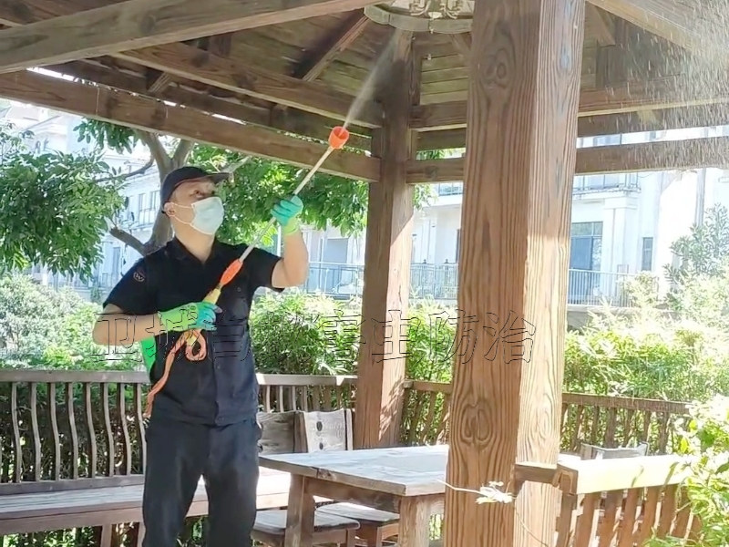 博罗县白蚁防治|惠州博罗灭白蚁|博罗杀白蚁中心