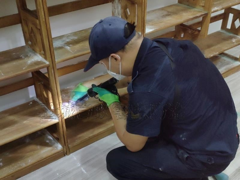 惠东县白蚁防治|惠东专业灭白蚁公司彻底治根杀白蚁