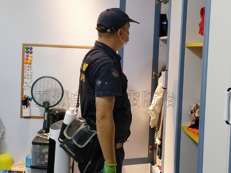 惠东县白蚁防治|惠东专业灭白蚁公司彻底治根杀白蚁