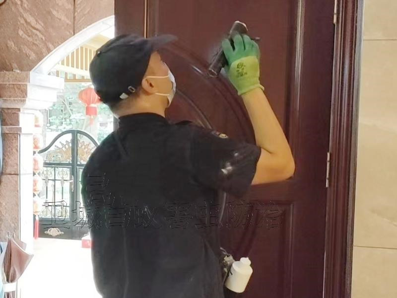 仲恺白蚁防治|惠州仲恺白蚁防治中心灭白蚁专注更专业