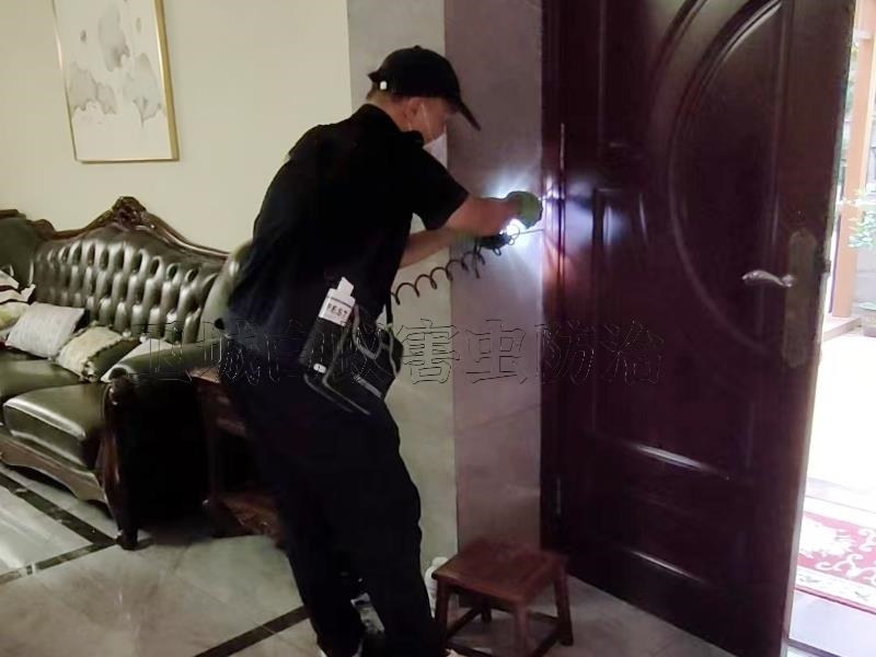 仲恺白蚁防治|惠州仲恺白蚁防治中心灭白蚁专注更专业