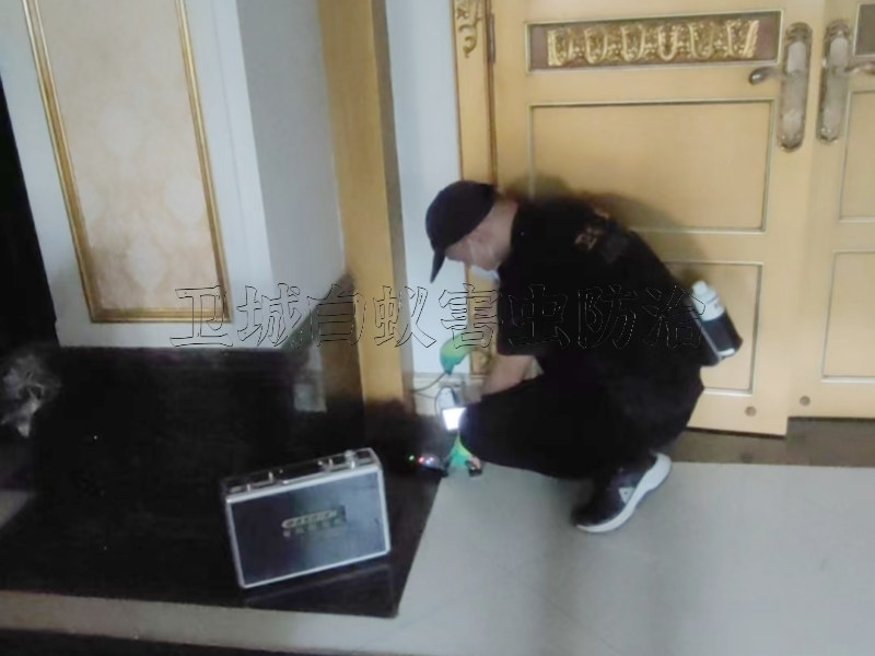 平潭白蚁防治-灭除白蚁-消杀白蚁中心专注虫害服务一次见效