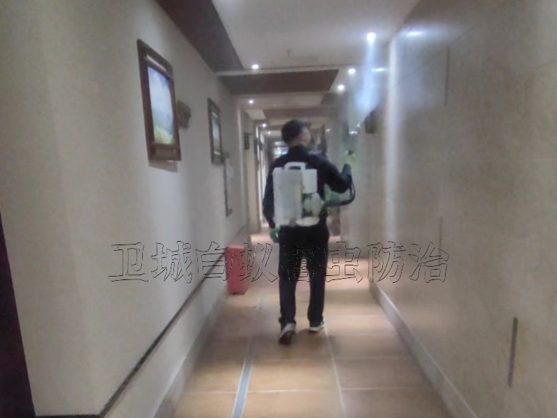 东莞杀虫公司,东莞杀臭虫-灭臭虫-臭虫药-东莞市卫城白蚁害虫防治有限公司