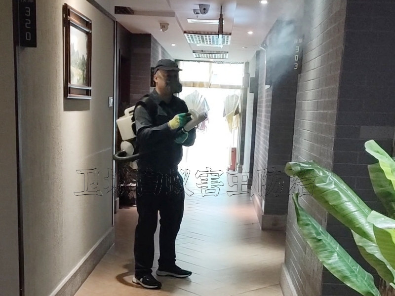 惠城汝湖宿舍灭臭虫,汝湖杀臭虫公司,惠州汝湖臭虫防治