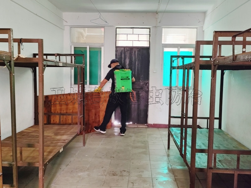 常平杀臭虫公司,大朗灭跳蚤-东莞市卫城白蚁害虫防治有限公司